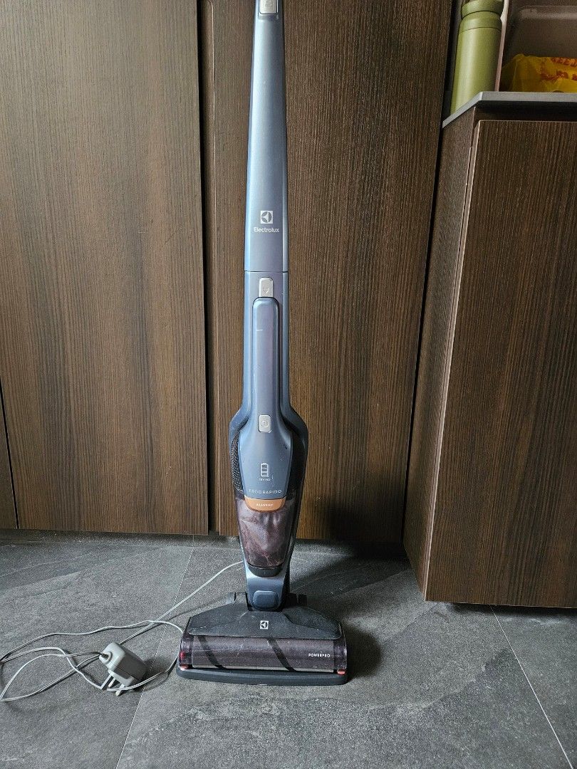 Electrolux ergorapido powerpro hot sale vacuum cleaner review