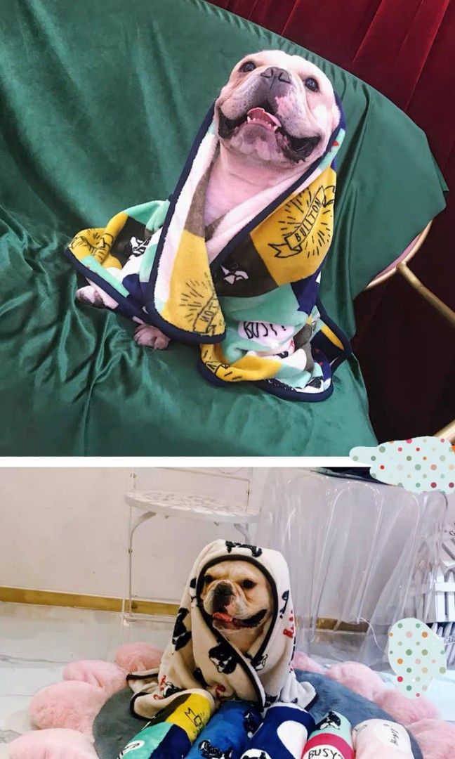 French bulldog clearance print blanket