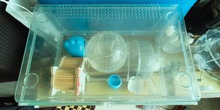 (Category: ) located in . Submitted by NovemberTen (Listing ID 1267377779, Image 1). Description: .