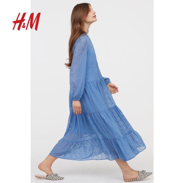 H&m blue hotsell embroidered dress