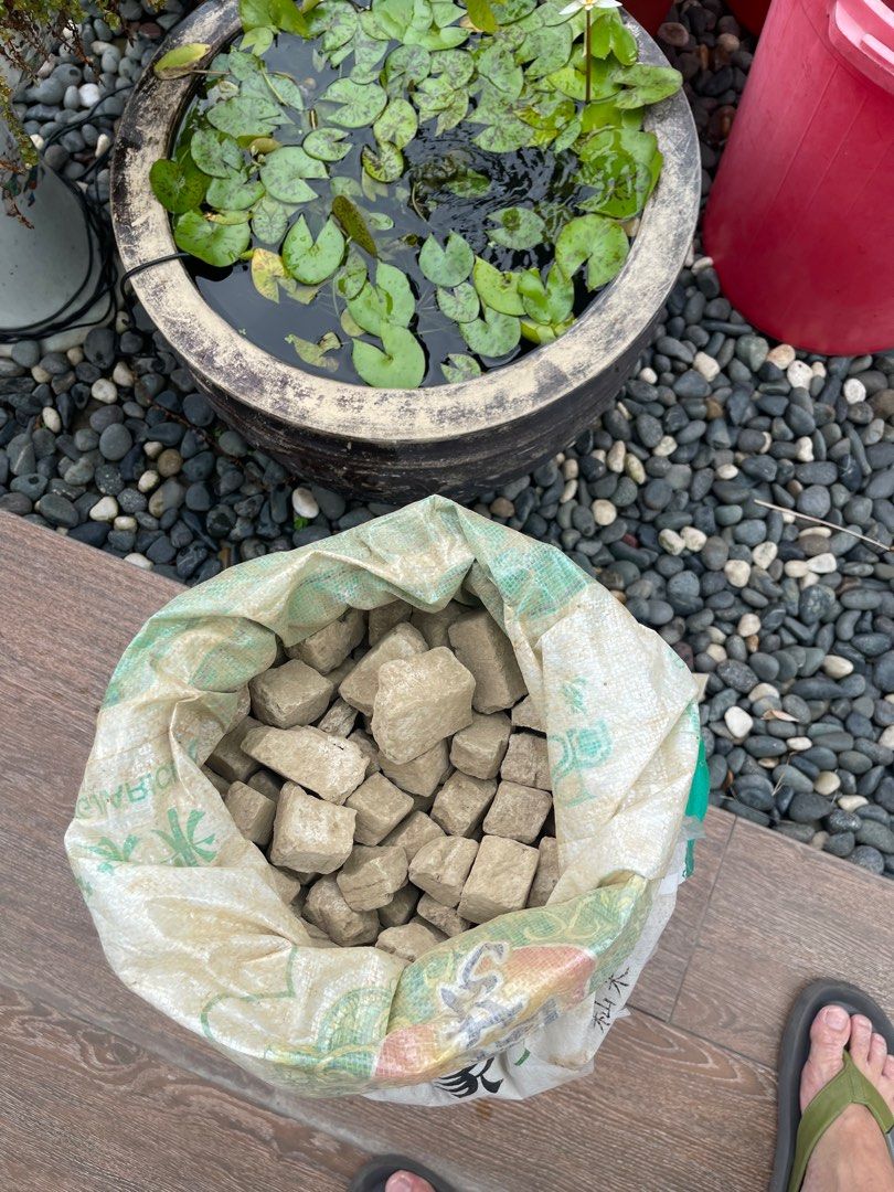 6.5kg Lotus water lily mud soil, Furniture & Home Living, Gardening