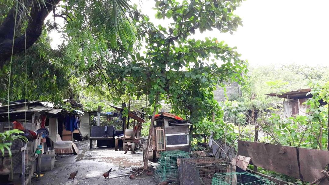 Manila Doctors Village Residential Lot For Sale 6027, Property