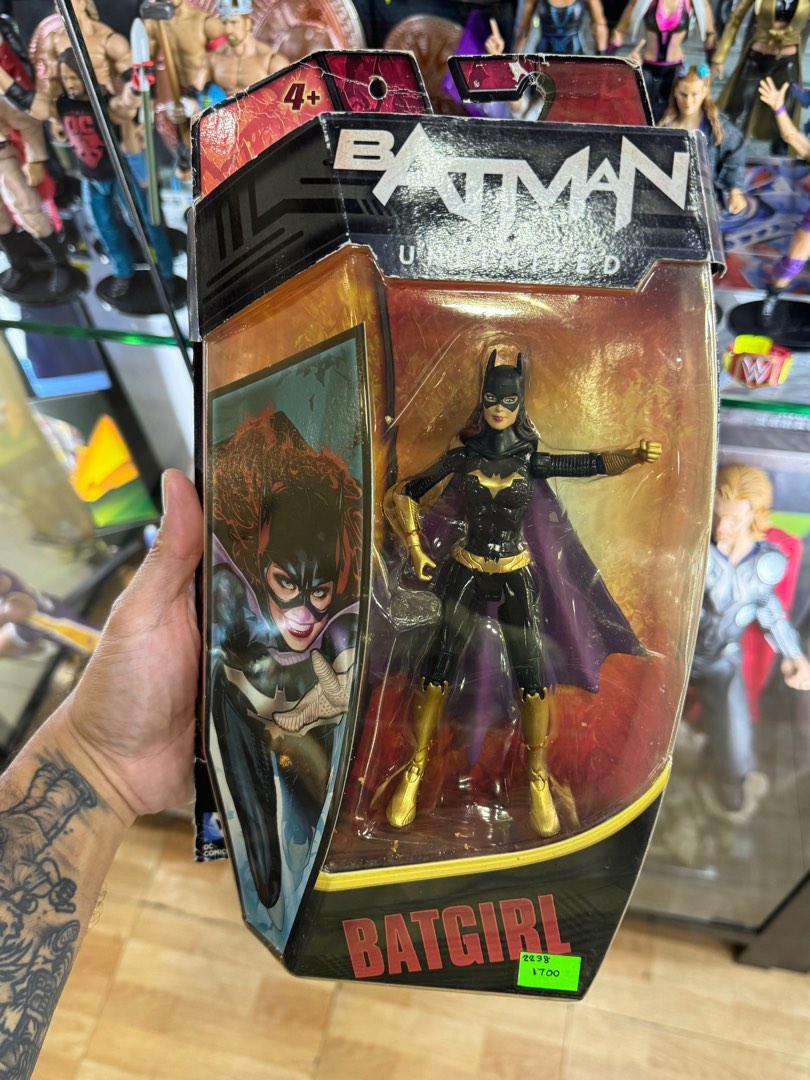 Mattel DC Comics BATGIRL, Hobbies & Toys, Toys & Games on Carousell