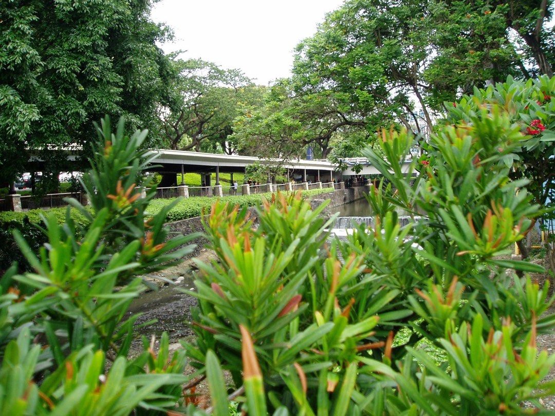 Olympus FE 110 Digital Camera, Photography, Cameras on Carousell