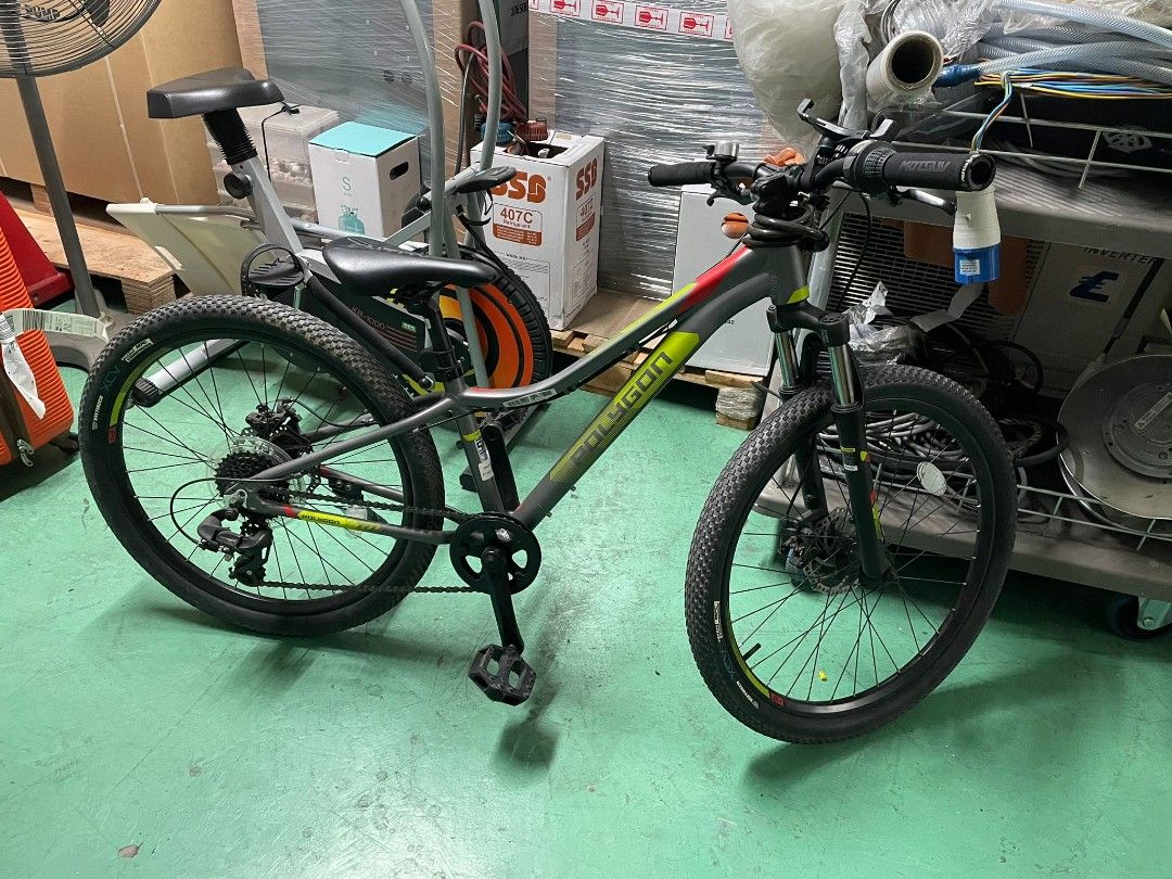 Polygon Relic 24 Mountain Bike Junior, Sports Equipment, Bicycles & Parts,  Bicycles on Carousell