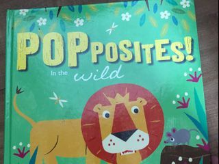 POPposites in the wild pop up book hard bound