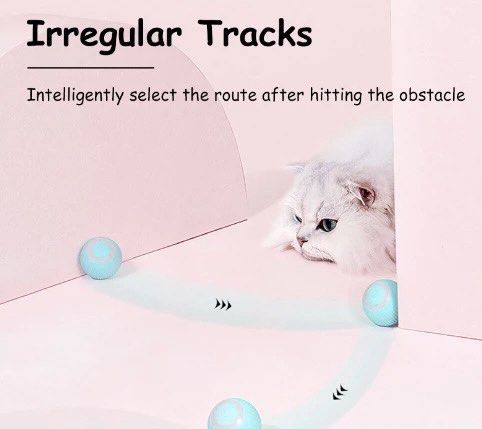 Electronic ball discount cat toy