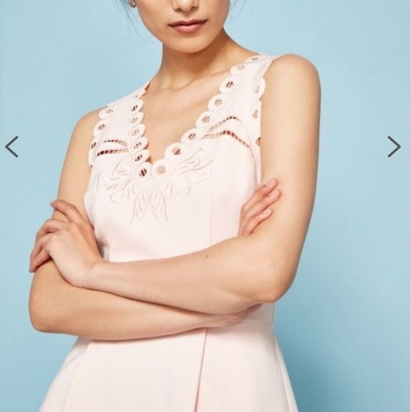 BNWT TED BAKER Nude Pink Emalise Embroidered Skater Dress