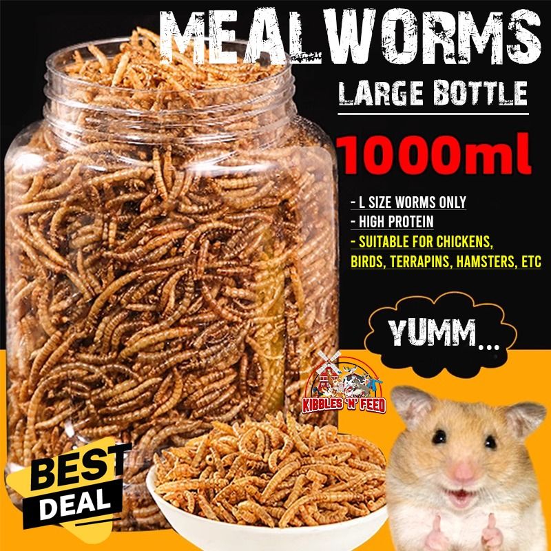 1000ml CHEAPEST DRIED MEALWORM BREADWORM FOR CHICKEN QUAIL HAMSTER TERRAPIN GUINEA PIG