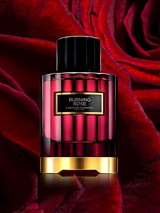 Burning shop rose perfume
