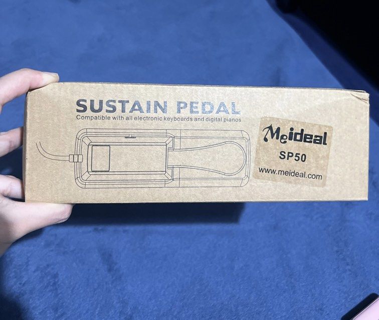 Digital piano sustain pedal, Hobbies & Toys, Music & Media, Musical