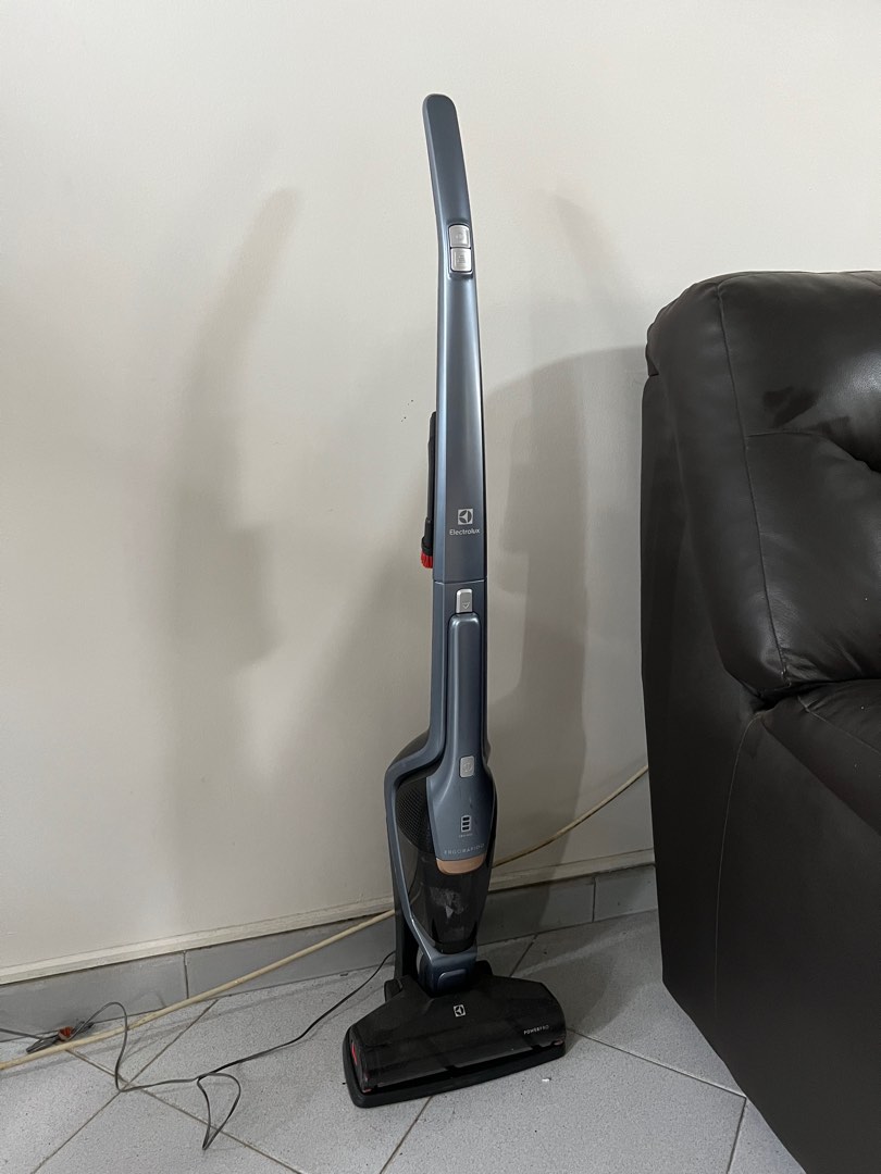 Electrolux ergorapido allergy deals vacuum review