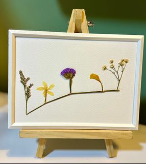 (Category: ) located in . Submitted by intouchwithnurture (Listing ID 1267690433, Image 1). Description: .