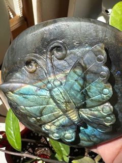 full flash labradorite butterfly carving