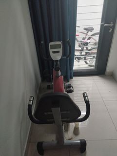 Gintell hotsell exercise bike