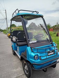 Golf cart buggy
