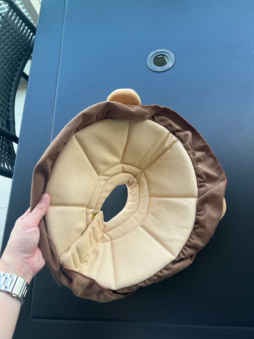 Lion cone of store shame