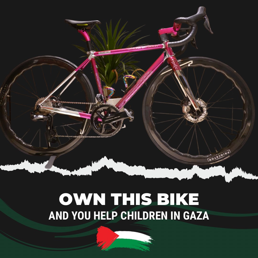 Battaglin bikes for store sale