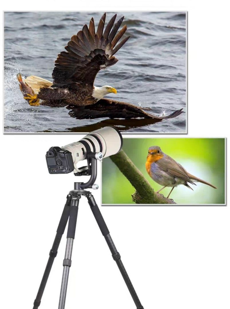Wildlife/birding tripod with carbon fiber gimbal head, Photography, Photography Accessories