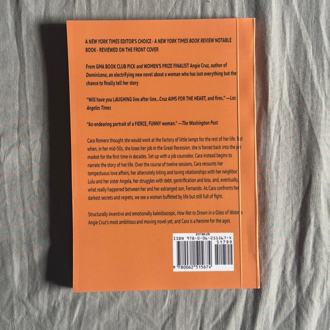  x how not to drown in a glass of water by angie cruz book hobbies