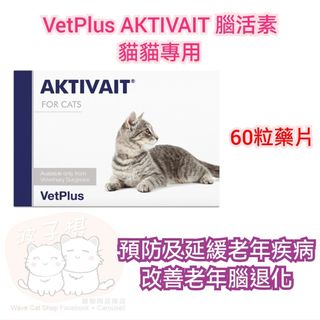 （分類：）位於 。 由 wavecatshop 提交（商品編號 1267907438，圖片 1）。簡介： 。