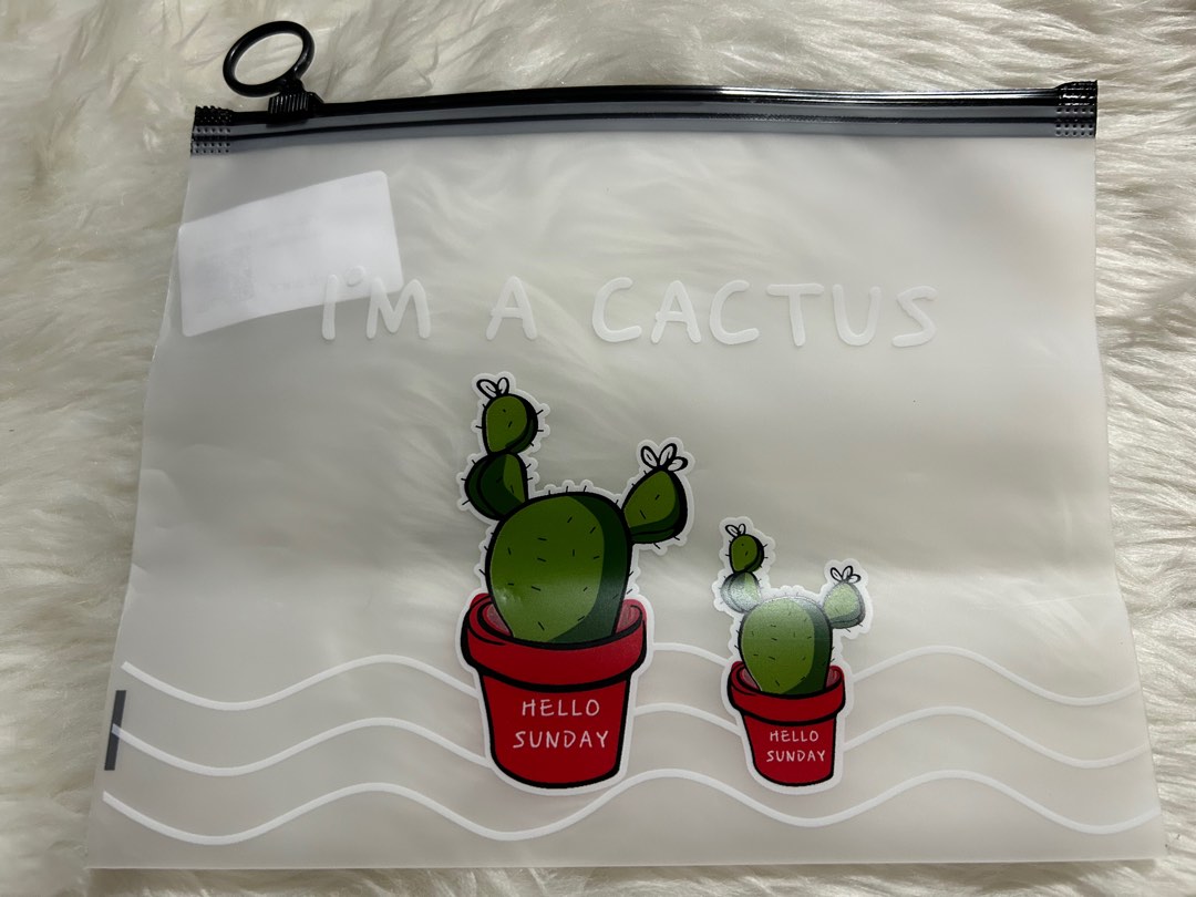 Cacti All Purpose Pouch Hobbies And Toys Stationary And Craft Stationery And School Supplies On 7921