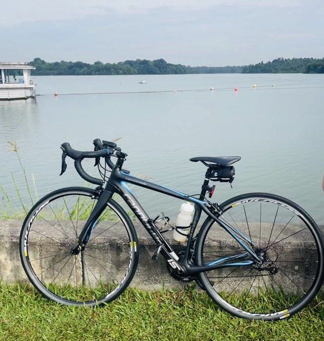 Cannondale synapse 44 store