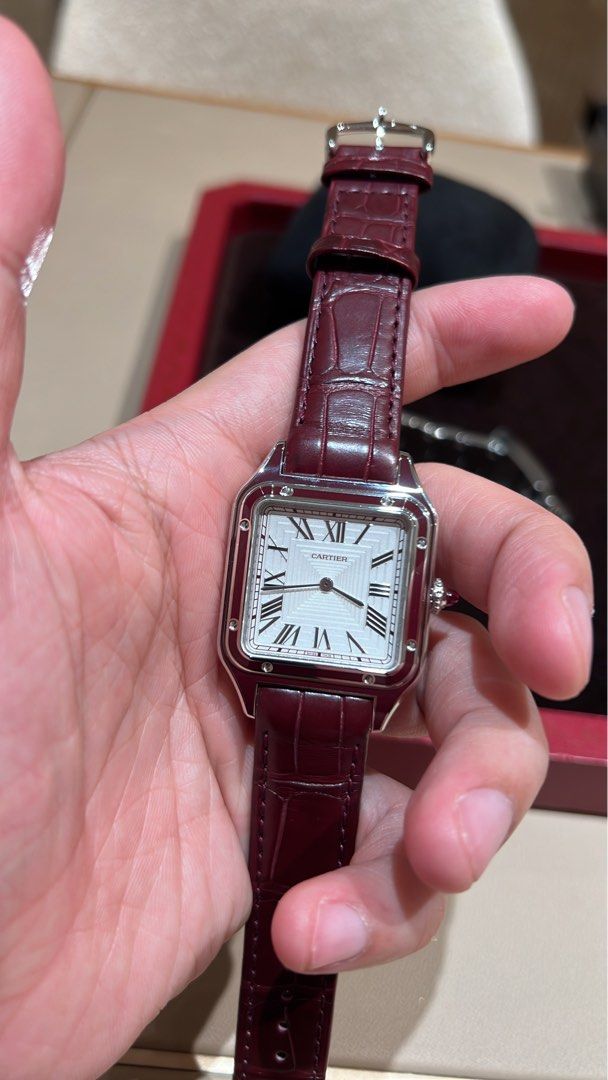 Cartier shop santos platinum