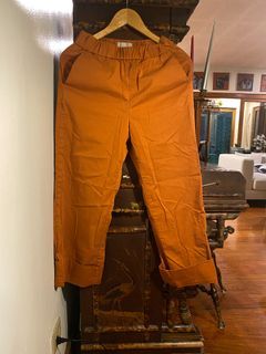 Everlane Easy Pants in Rust