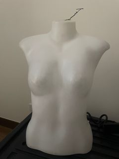 Half body mannequin