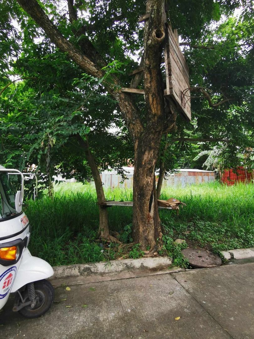 LAND FOR SALE Town & Country Heights Barangay San Luis Antipolo City & Town & Country Southville