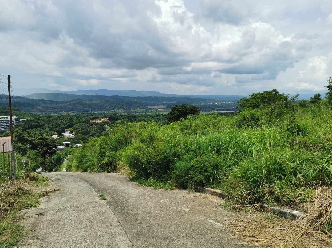 LAND FOR SALE Town & Country Heights Barangay San Luis Antipolo City & Town & Country Southville