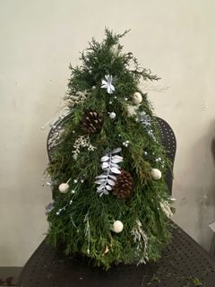 Mini Fresh Christmas Tree