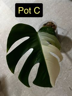 (Category: ) located in . Submitted by d.w.c.m (Listing ID 1267878867, Image 1). Description: .