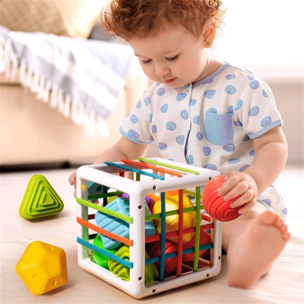 Montessori education toys discount