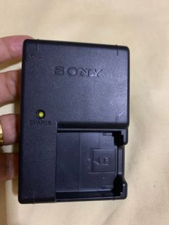 Original Sony charger