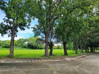 📌  New Deal- Lot For Sale in Phase 4 price for Php28k/sqm in Manila Southwoods Estates