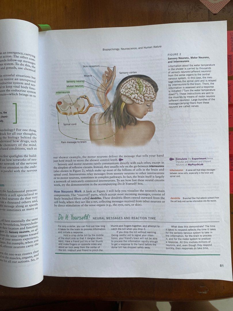SUSS Psychology Textbook: Core Concepts: Pearson New International ...