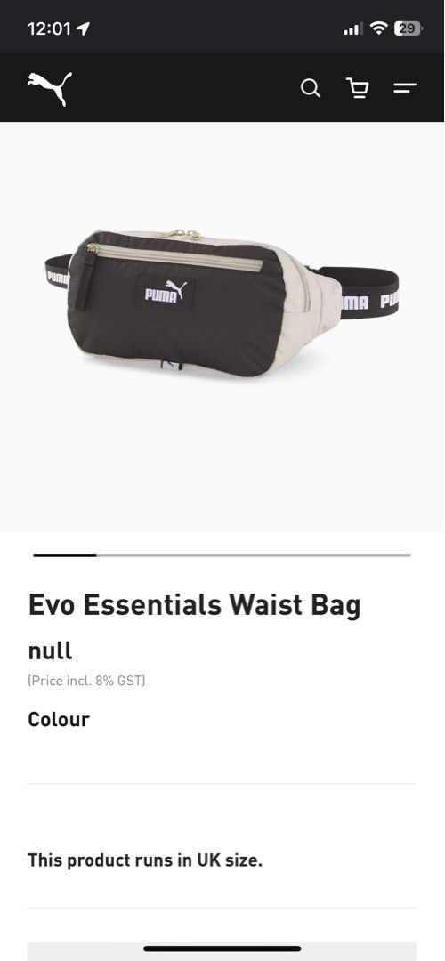 Puma Evo White Puma Fanny Pack Puma Evo Essentials Waist Bag, Men's  Fashion, Bags, Belt Bags