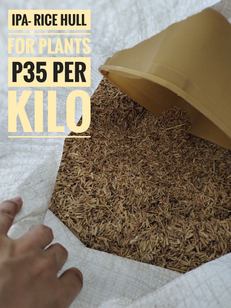 Rice Hull for plants (Category: Plants & Seeds) located in Cavite. Submitted by yeyeofalltrades (Listing ID 1267742197, Image 1). Description: gcash payment shoppee chek outt 35 per kilo.