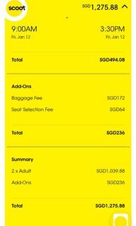 Scoot Japan Air ticket (Adult 2 pax) Return trip
