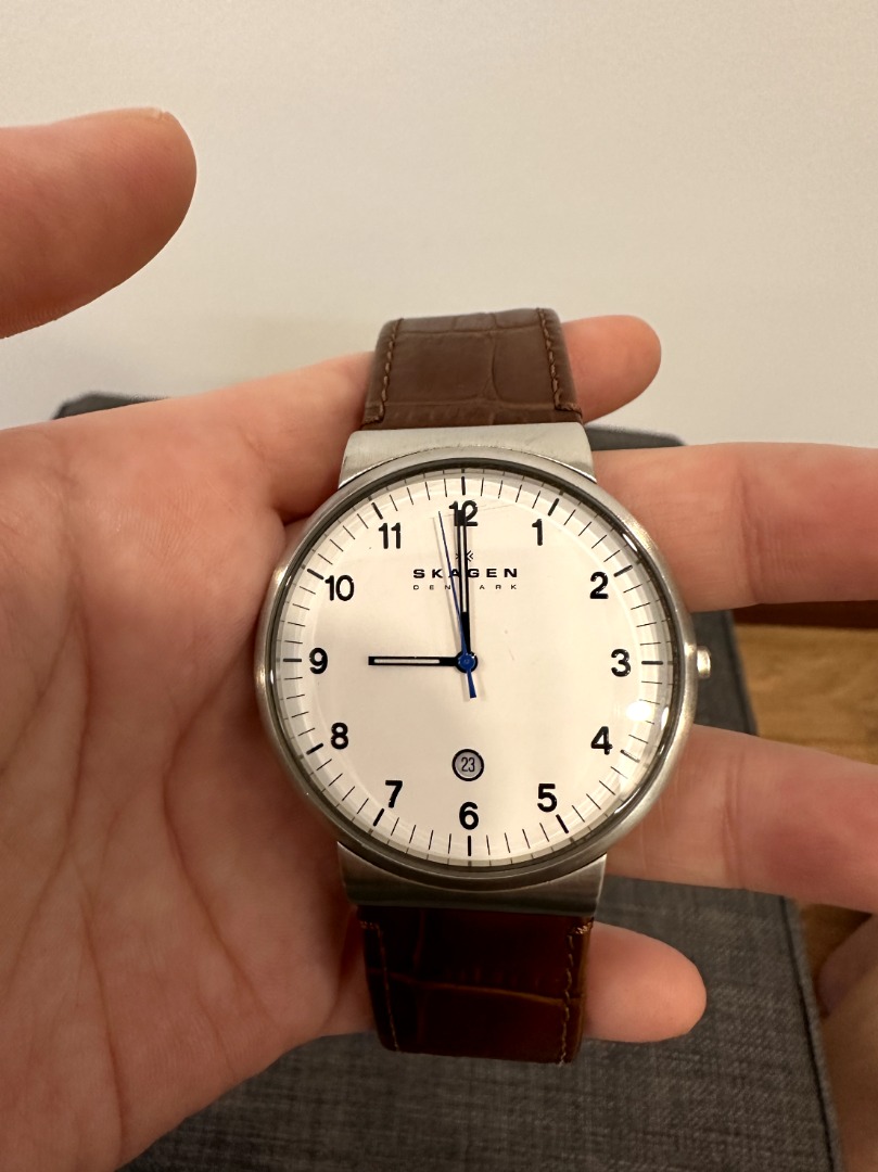 Skagen denmark stainless 2025 steel watch