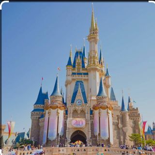 Tokyo Disney land tickets