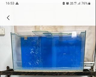 3ft fish tank