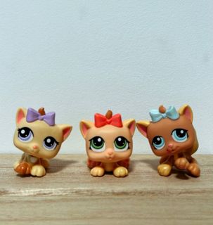Lps kittens for sale 2025