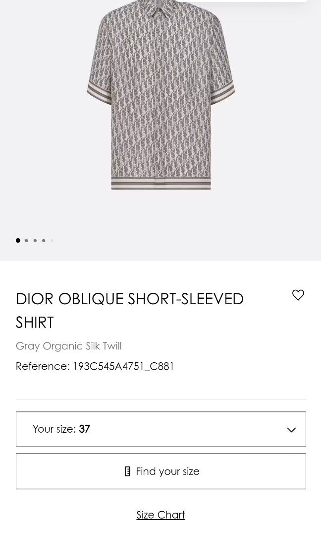 Authentic Dior Homme oblique shirt Carousell