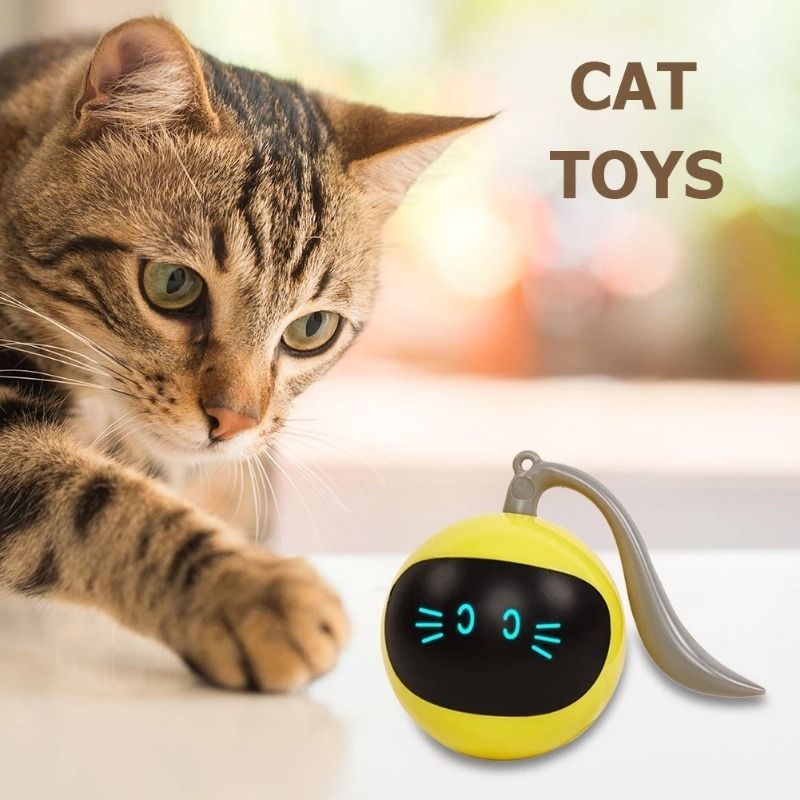 Electronic ball discount cat toy