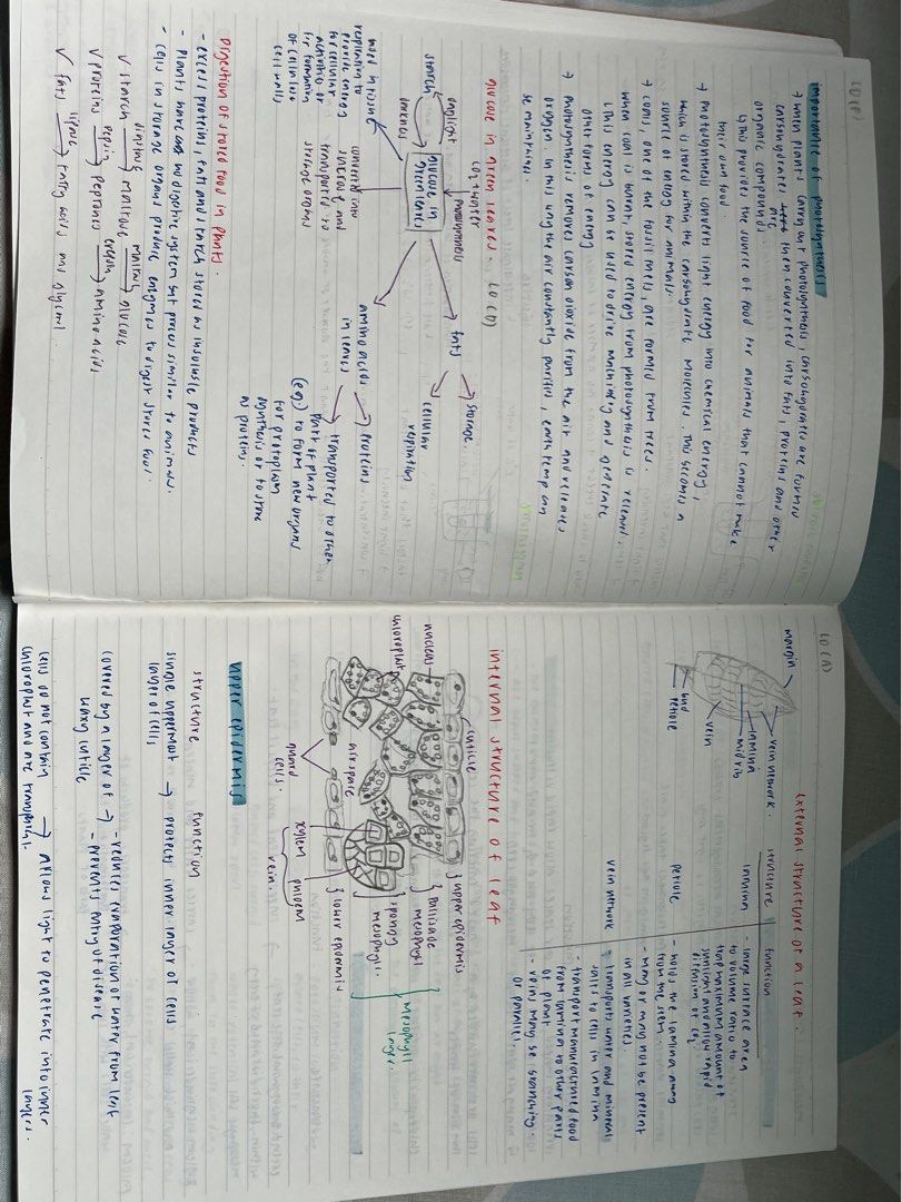 Combined science- Biology O level notes, Hobbies & Toys, Books ...