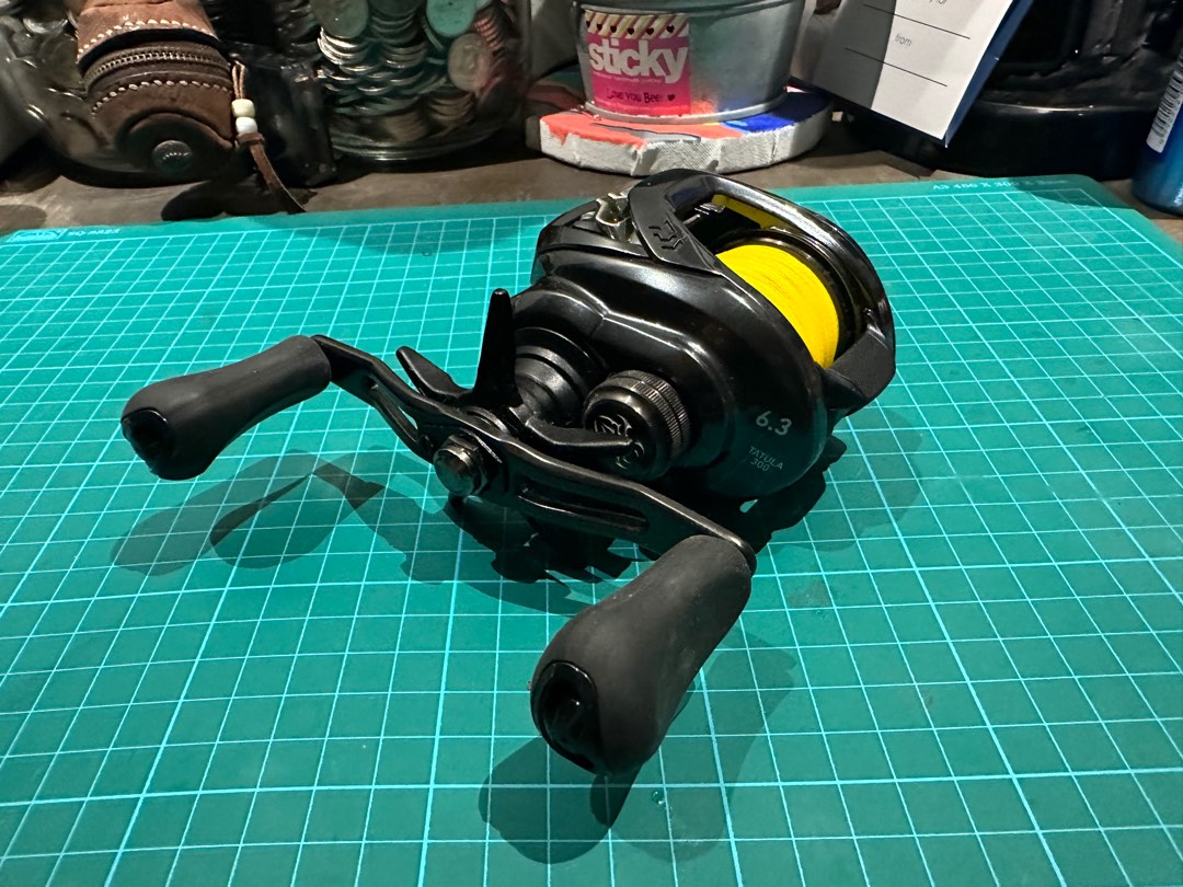 Daiwa Tatula 300 (left hand), Sports Equipment, Fishing on Carousell