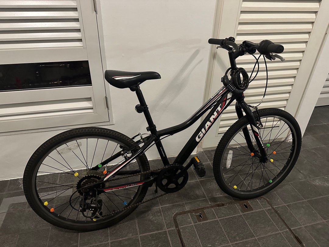 Giant Revel Bike kids 24